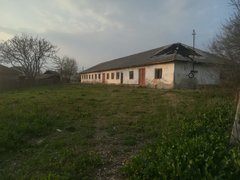 Babaita sat, Teleorman