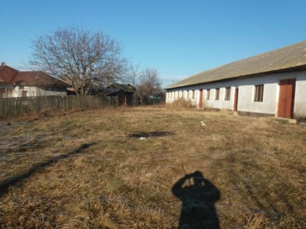 Babaita sat, Teleorman,