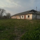 Babaita sat, Teleorman